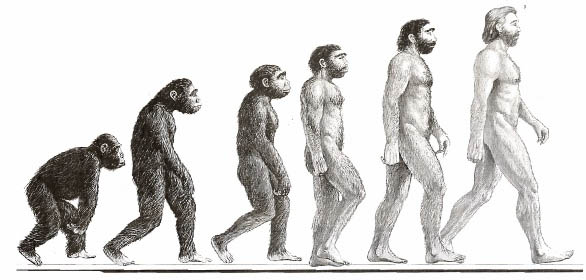 Evolução humana: amostragem de estudos e conclusões do naturalista inglês Charles Darwin, que viveu no século XIX