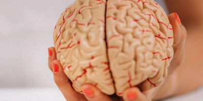 Droga promove limpeza de proteínas indesejáveis nas células cerebrais (Imagem: microgen/envato)