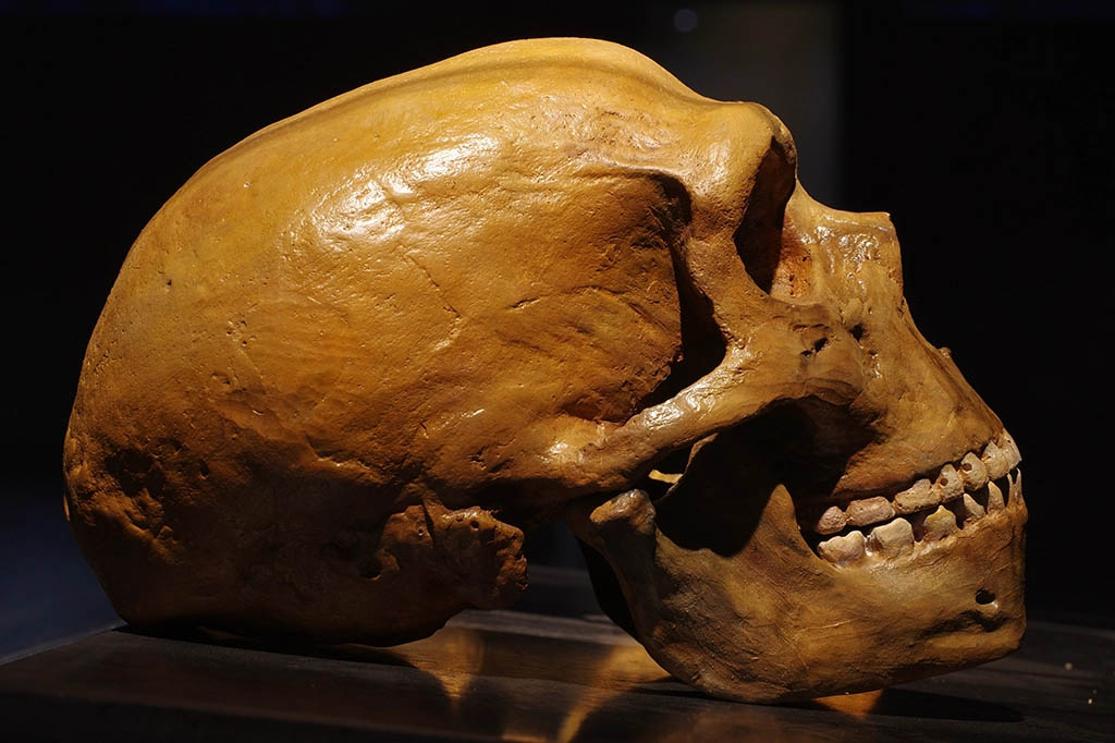 Restos fósseis levaram especialistas a alterar o rumo de história sobre a população de neandertais em terras italianos